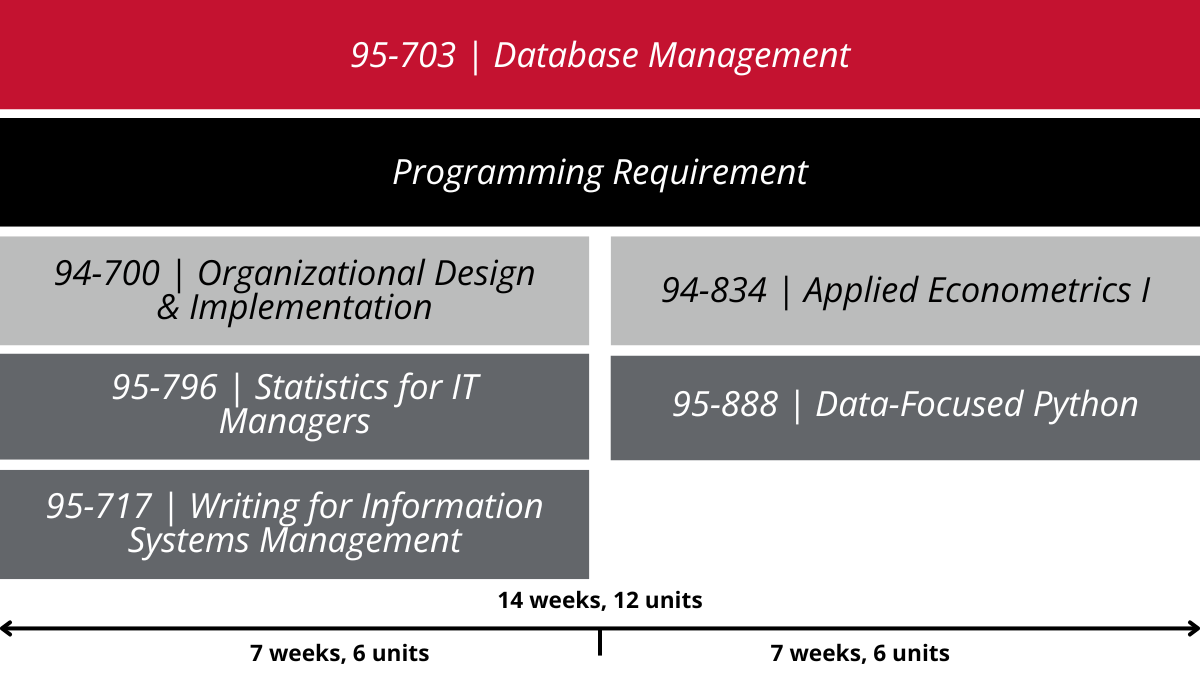 A graphic illustrating possible courses for MISM students. 