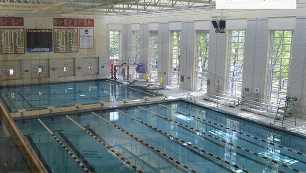 Swimming pool with lap lanes